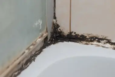 mold in shower
