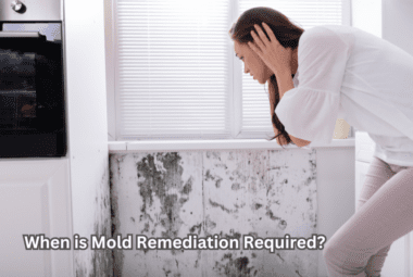 When is Mold Remediation Required