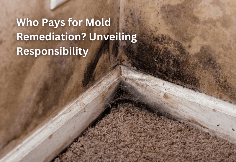 Who pays for mold remediation?
