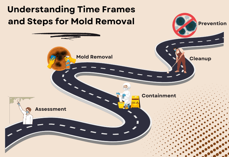 time frame and steps for mold removal.